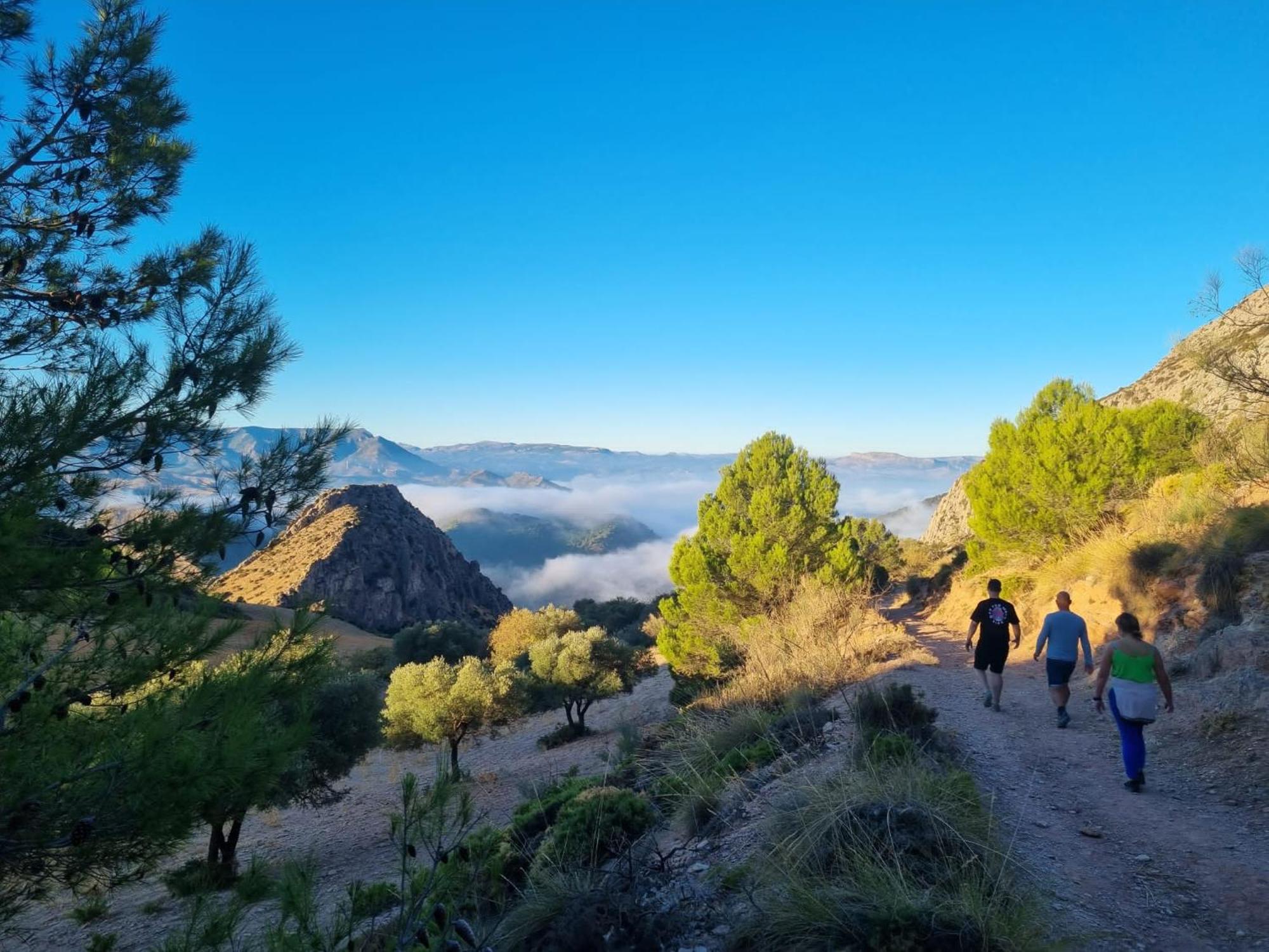 לינה וארוחת בוקר אלורה Finca Valle Verde מראה חיצוני תמונה