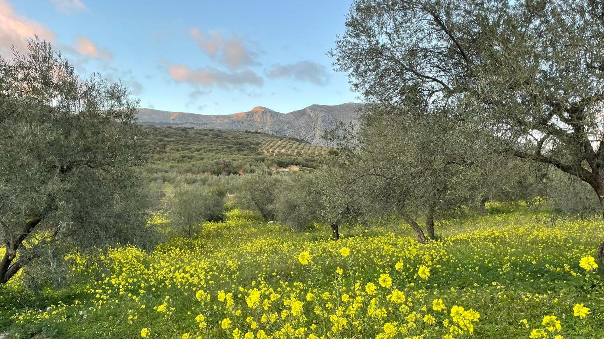 לינה וארוחת בוקר אלורה Finca Valle Verde מראה חיצוני תמונה