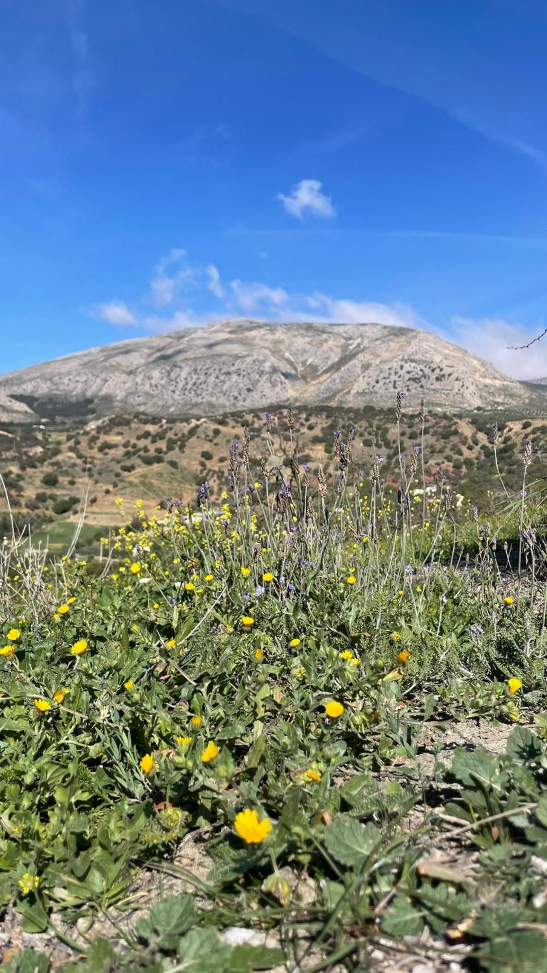 לינה וארוחת בוקר אלורה Finca Valle Verde מראה חיצוני תמונה