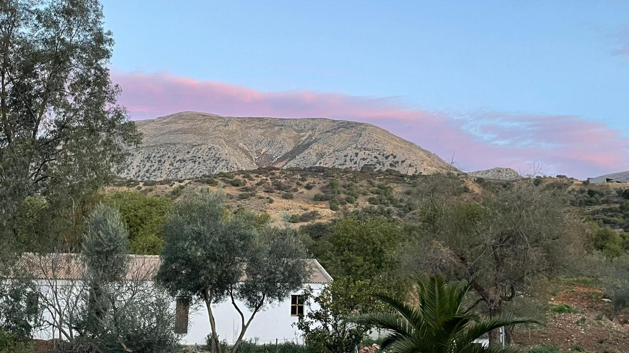 לינה וארוחת בוקר אלורה Finca Valle Verde מראה חיצוני תמונה