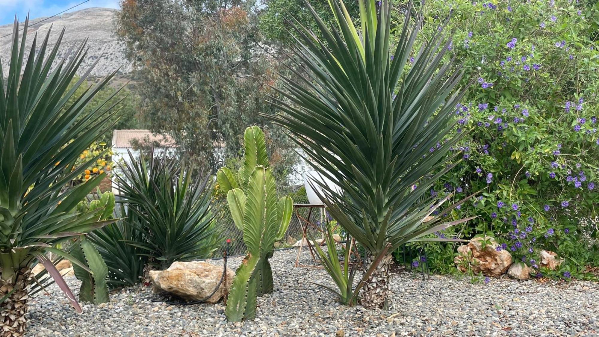 לינה וארוחת בוקר אלורה Finca Valle Verde מראה חיצוני תמונה