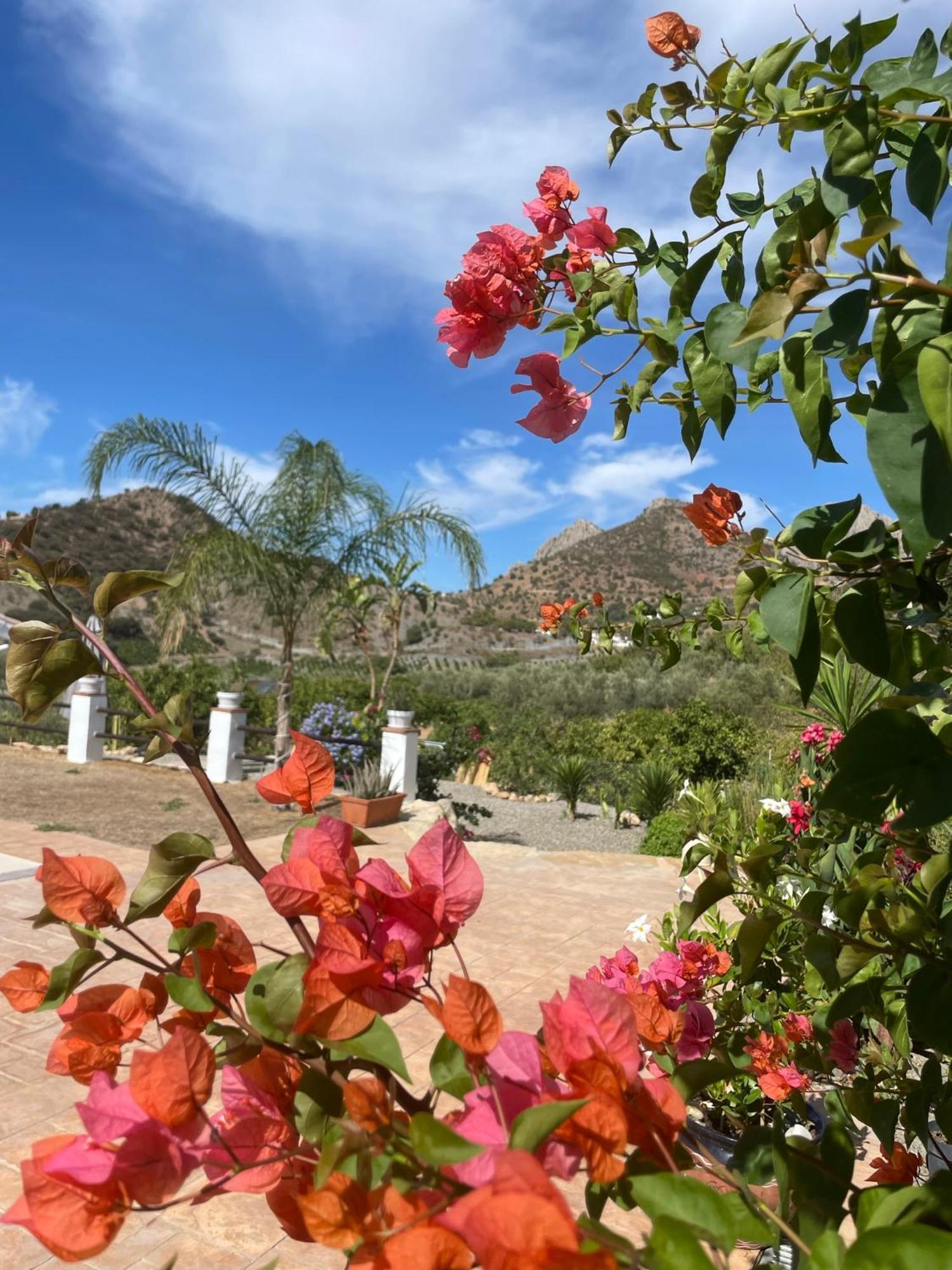 לינה וארוחת בוקר אלורה Finca Valle Verde מראה חיצוני תמונה