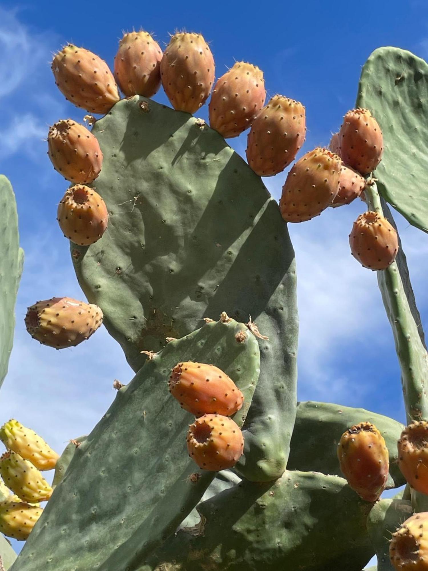 לינה וארוחת בוקר אלורה Finca Valle Verde מראה חיצוני תמונה