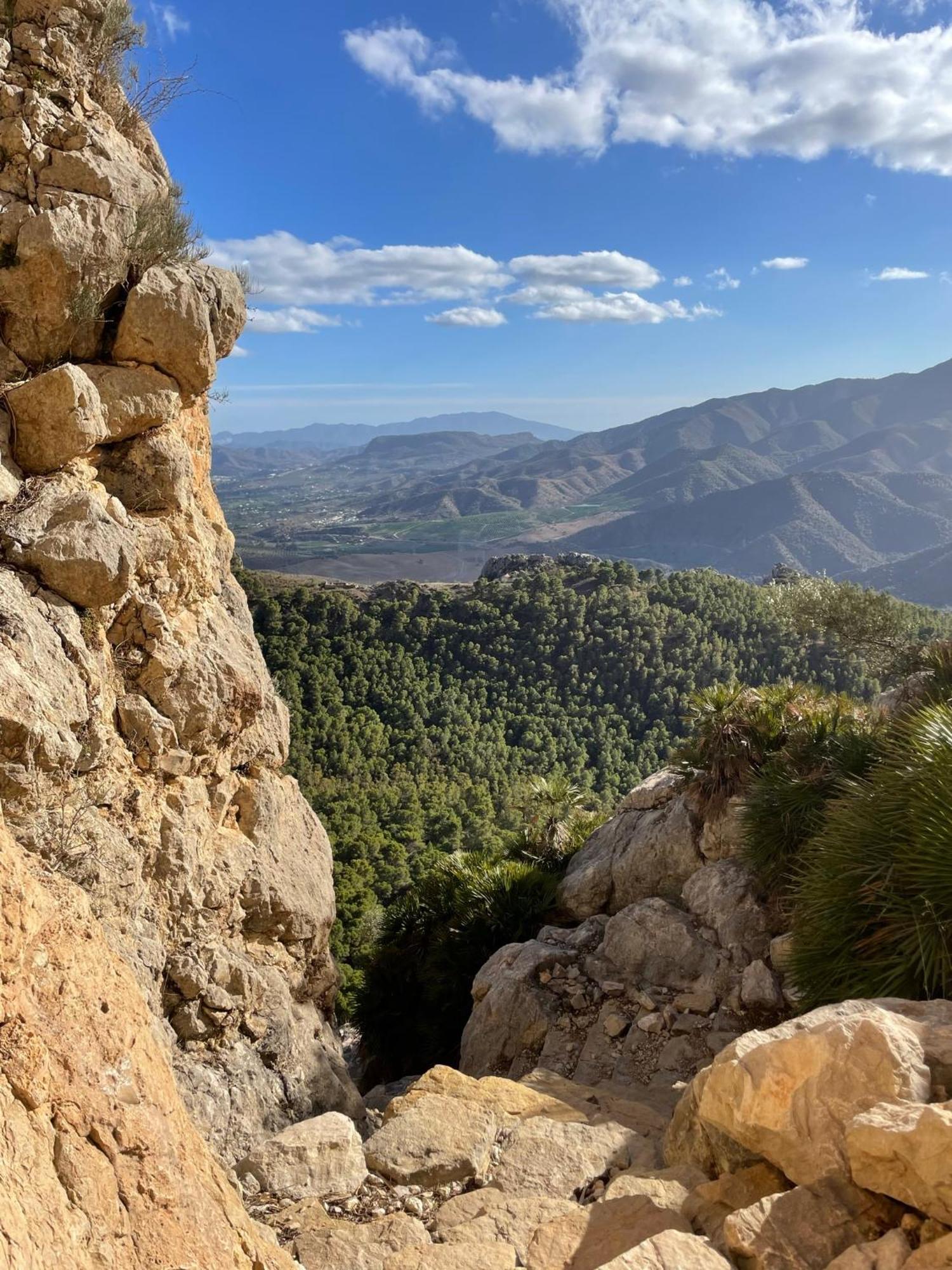 לינה וארוחת בוקר אלורה Finca Valle Verde מראה חיצוני תמונה