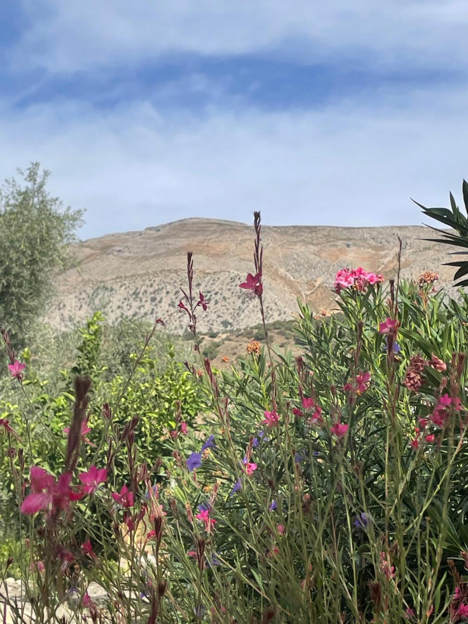 לינה וארוחת בוקר אלורה Finca Valle Verde מראה חיצוני תמונה