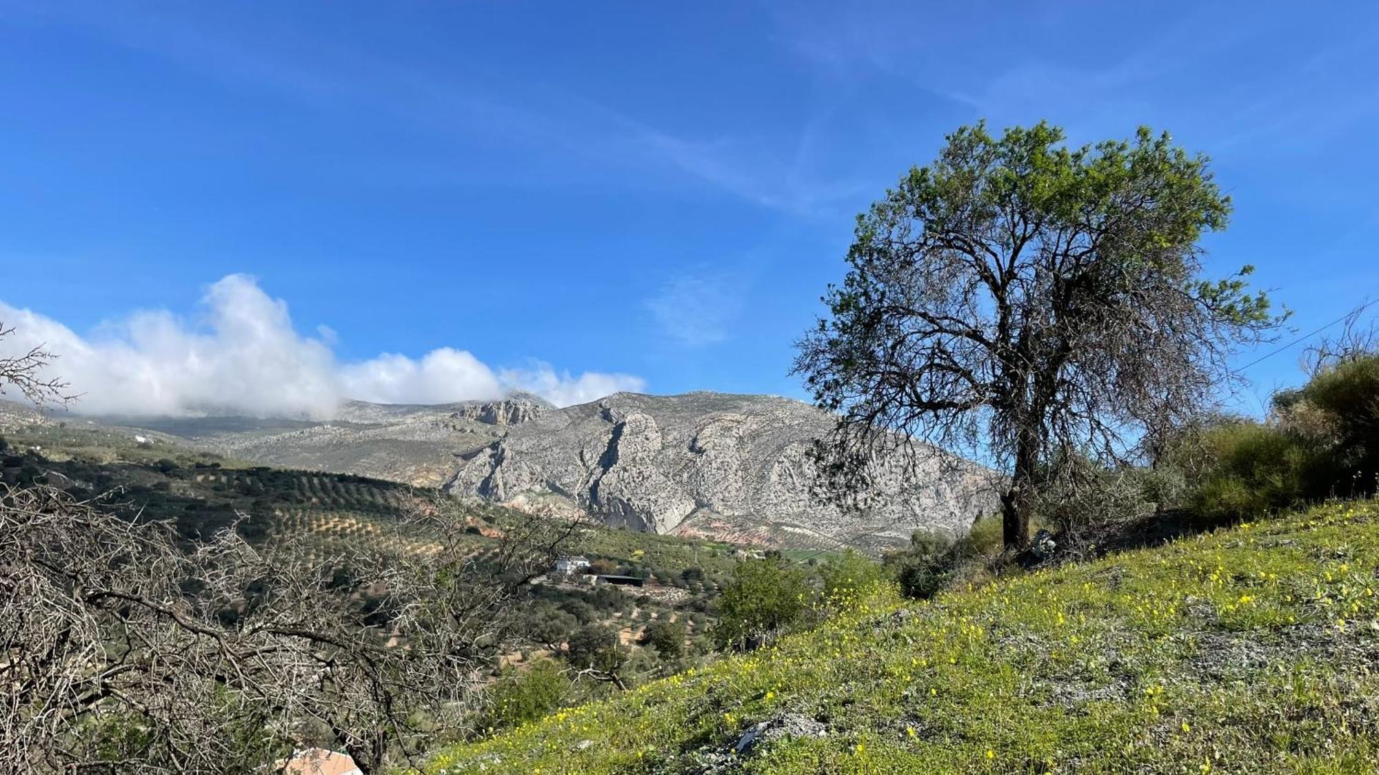 לינה וארוחת בוקר אלורה Finca Valle Verde מראה חיצוני תמונה