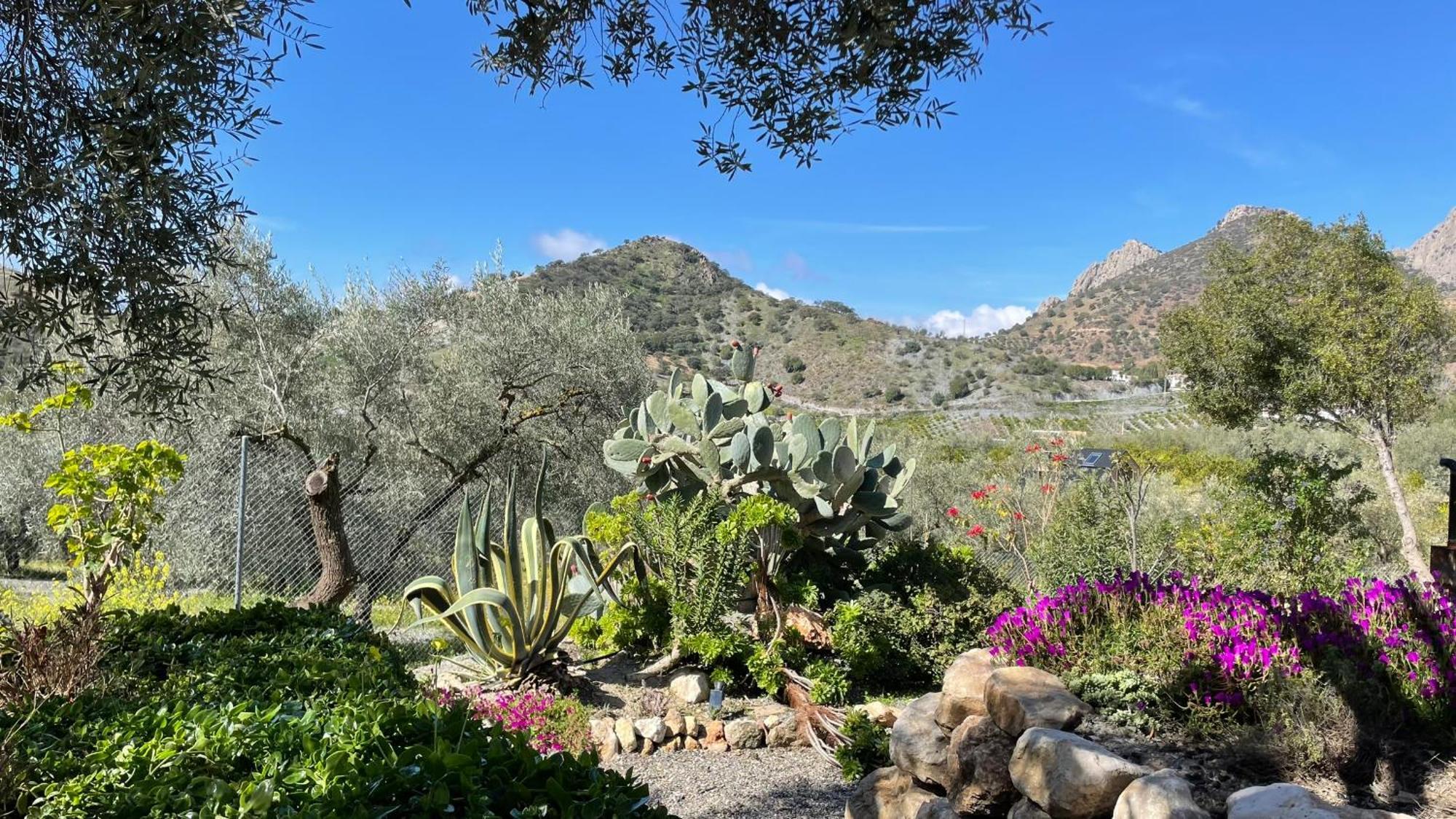 לינה וארוחת בוקר אלורה Finca Valle Verde מראה חיצוני תמונה