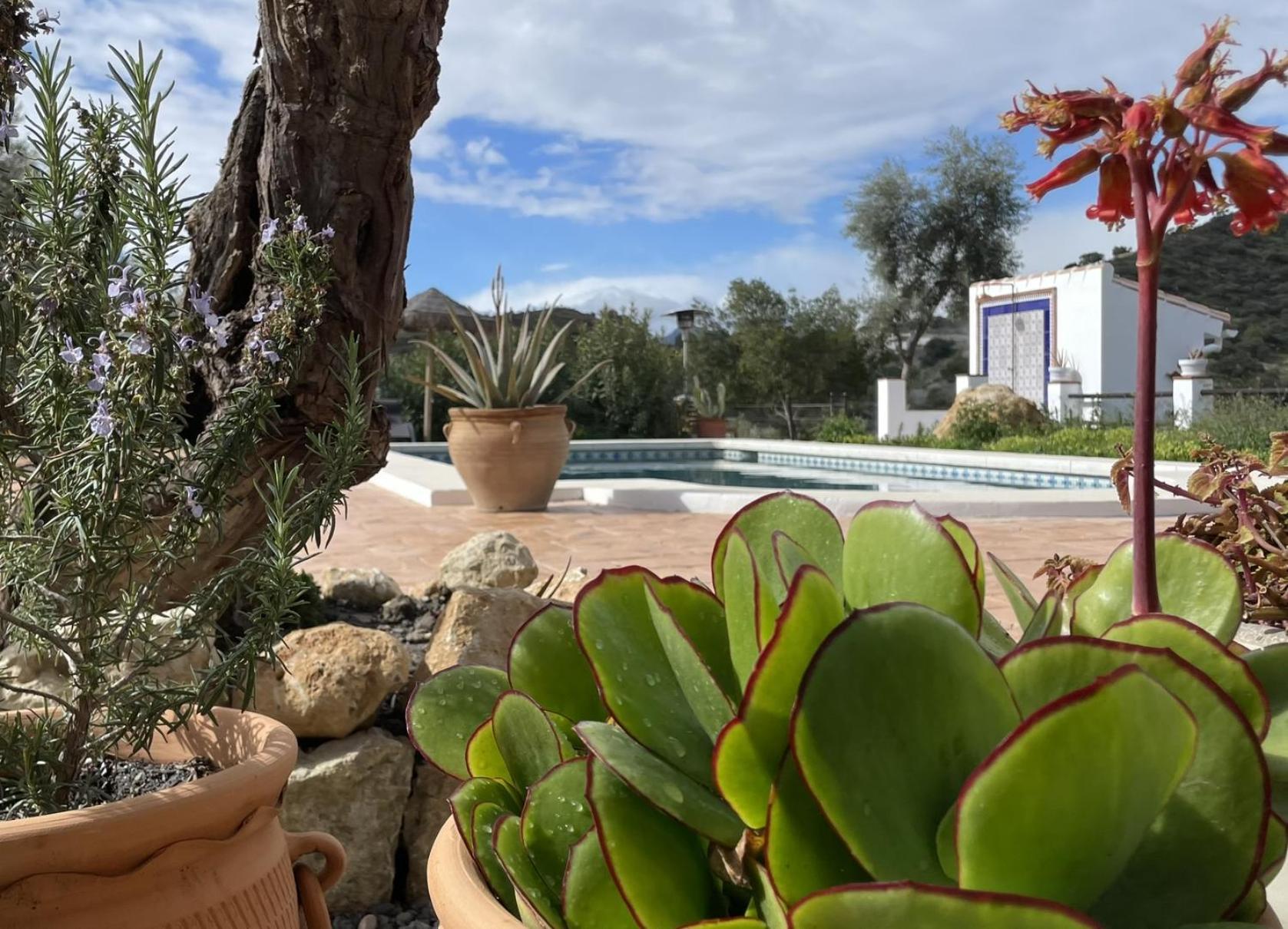 לינה וארוחת בוקר אלורה Finca Valle Verde מראה חיצוני תמונה