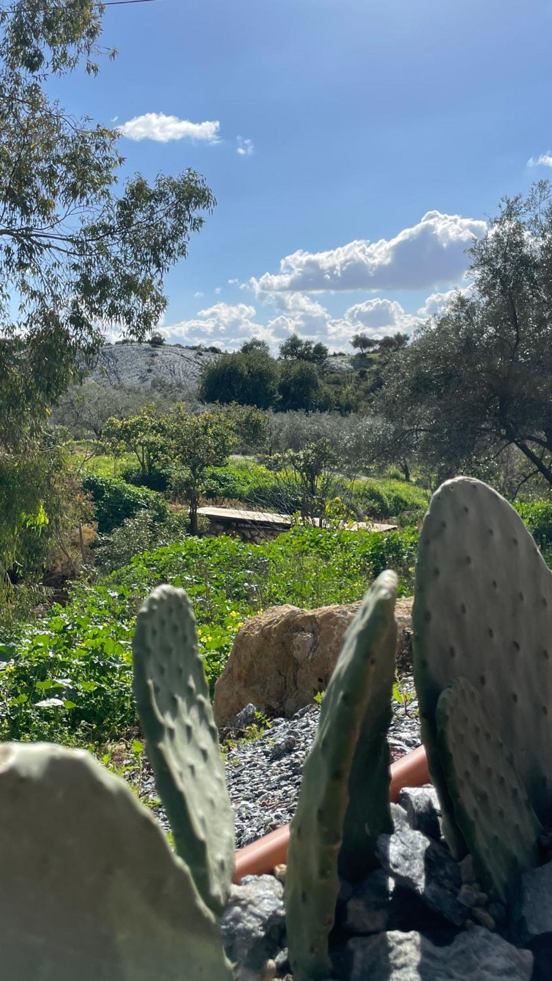 אלורה Finca Valle Verde מראה חיצוני תמונה