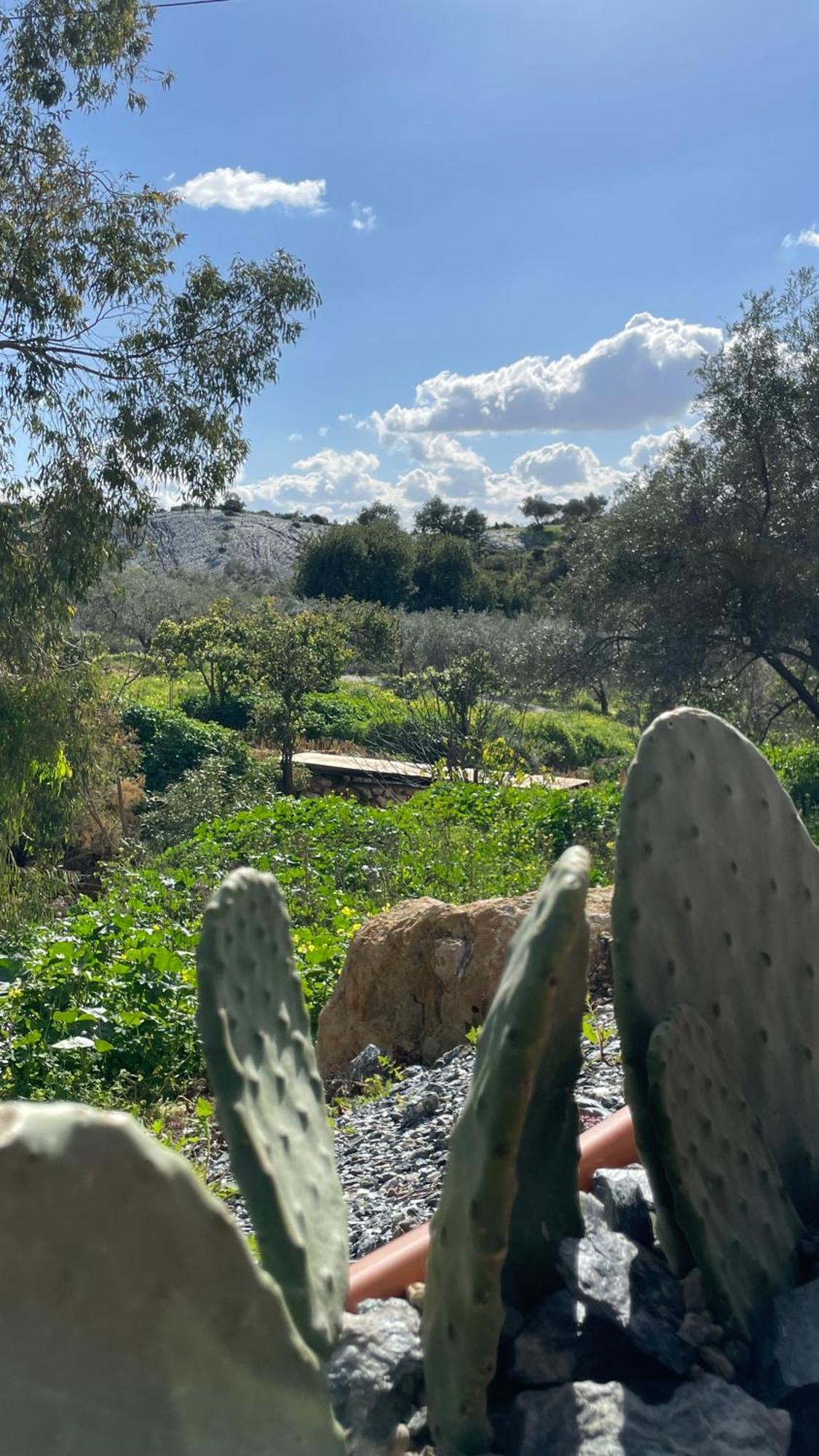 לינה וארוחת בוקר אלורה Finca Valle Verde מראה חיצוני תמונה